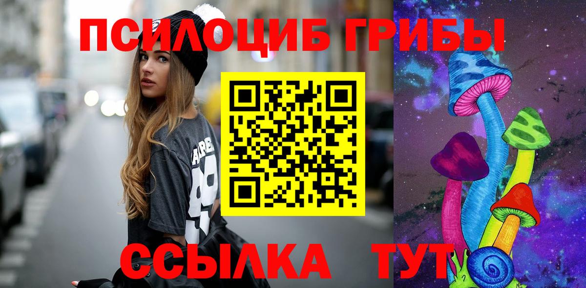 Галлюциногенные грибы Psilocybe Свободный