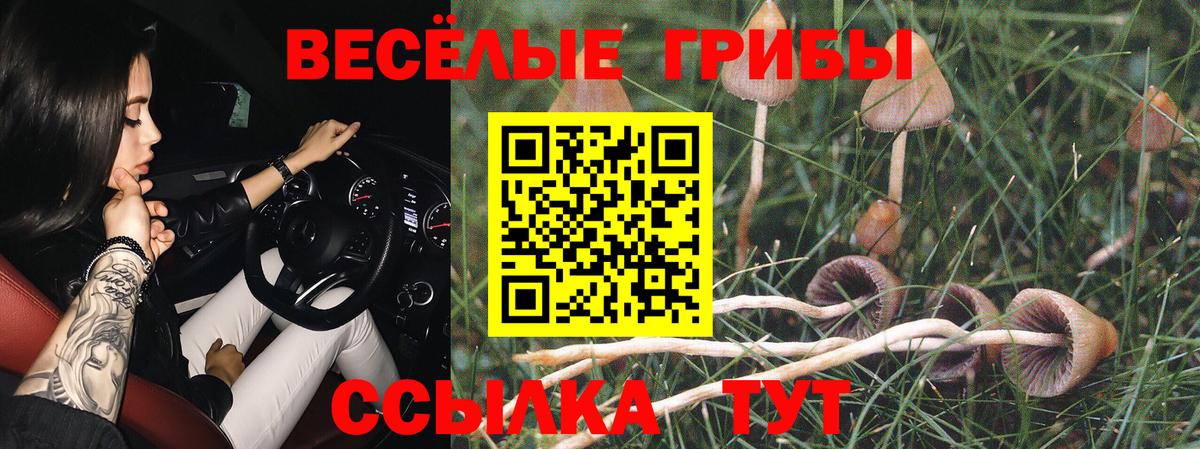 ГАШИШ  Альфа ПВП СК кристаллы  Меф МЯУ МЯУ кристаллы  Свободный  МАРИХУАНА  Вход с VPN 