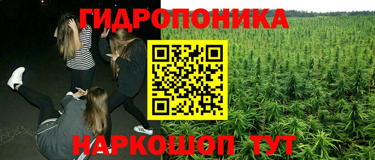 Шишки марихуана индика  Бошки марихуана семена  Свободный  Вход с VPN  Бошки марихуана Ganja 